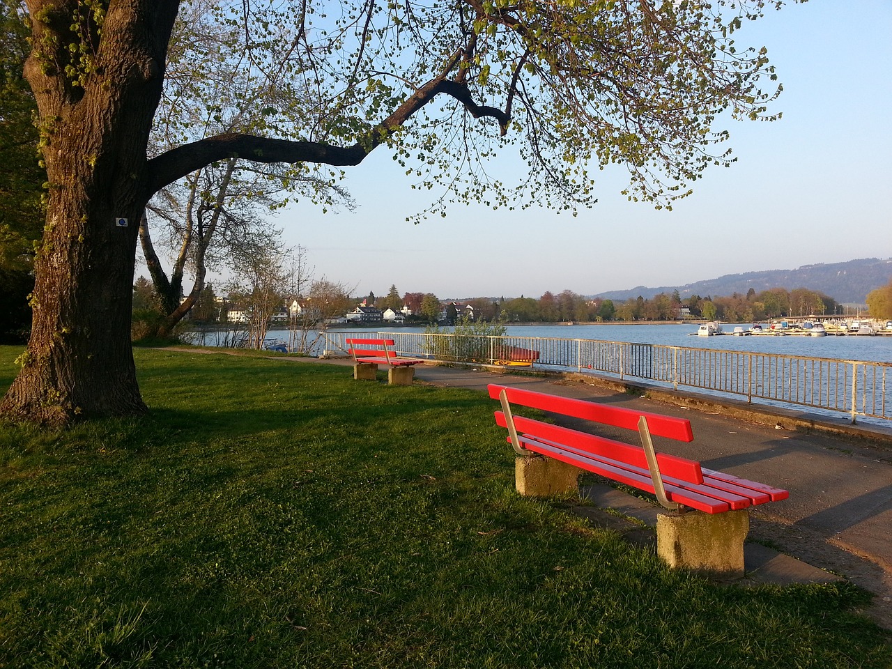 迪恩韋德表示上場時間或將減少但會全力以赴.